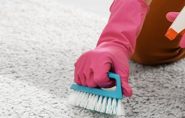 Tips Mencegah Karpet dari Jamur dan Tungau
